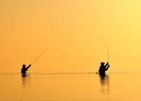 Casting into the fire Casting into the fire