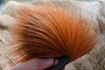 Spinning hair Spinning hair