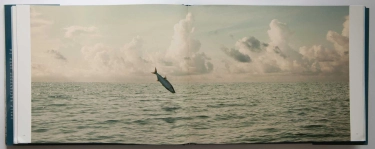 Salt spread Salt spread