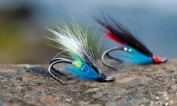 A quick setup A quick setup