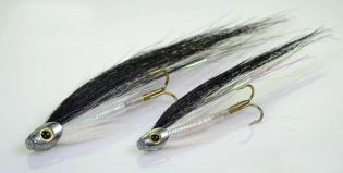 Fish Skull Sunray Shadows Fish Skull Sunray Shadows