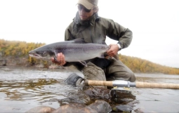 Ready to release Ready to release