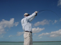 Warm weather Warm weather