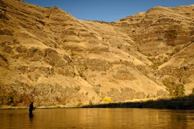 In the shadow In the shadow