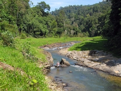 Pristine environment Pristine environment