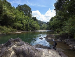 Jungle river Jungle river