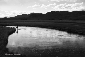 Creek catch Creek catch