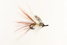 Irish grub Irish grub