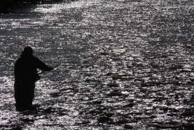 Fly-fishing for salmon in Ireland Fly-fishing for salmon in Ireland