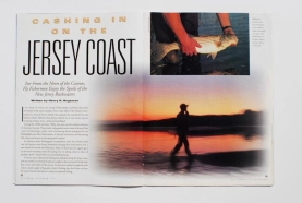 Article tearsheet Article tearsheet