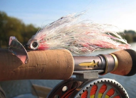 The result The result