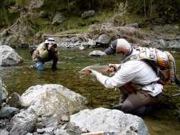 Stu at work Stu at work