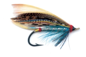 Blue Doctor Blue Doctor