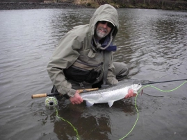 A Puyallup steelhead A Puyallup steelhead