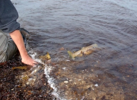 Back again Back again