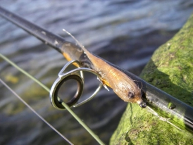 Slippery when wet Slippery when wet