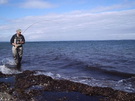 The landing phase The landing phase