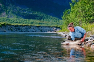 Ready to release Ready to release