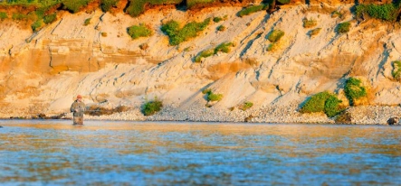 In the zone In the zone