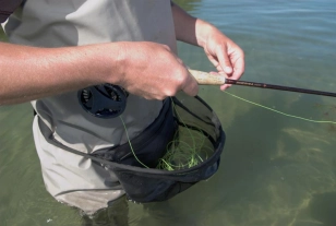 A real basket A real basket