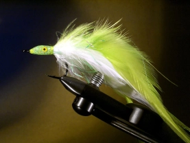 PL's First Choice PL's First Choice