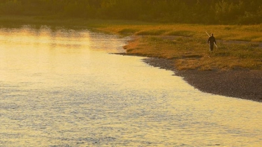 Along the river Along the river