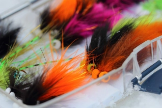 Colors for the cold Colors for the cold