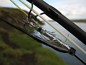 Beaten shadow Beaten shadow