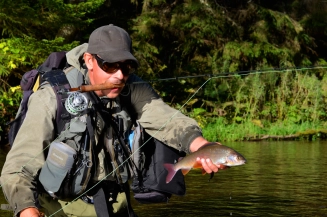 Another grayling Another grayling