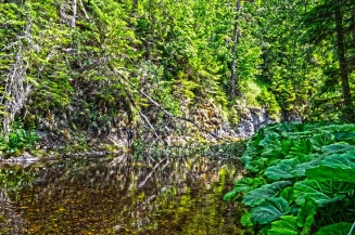 Th adventure is on Th adventure is on