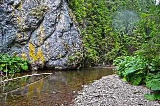 Sight fishing Sight fishing