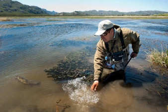 Swimming off Swimming off