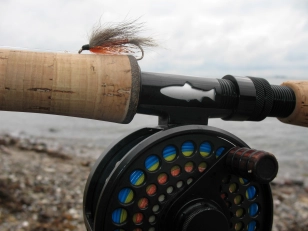 Foxy Streamer Foxy Streamer