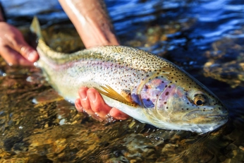 A large rainbow A large rainbow