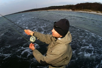 New perspective New perspective