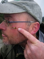 Close call Close call