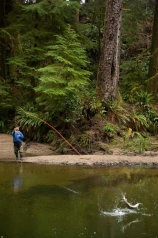 Breaking the calm surface Breaking the calm surface