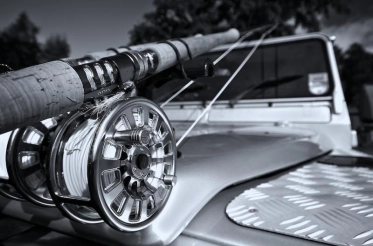 Rod clamps Rod clamps