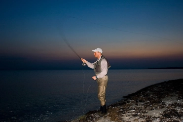 Don't wade Don't wade