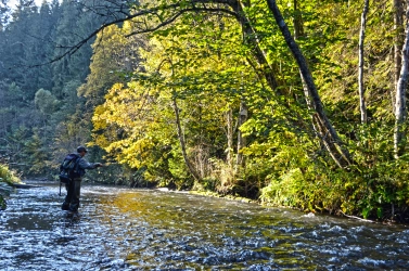 In the spotlight In the spotlight