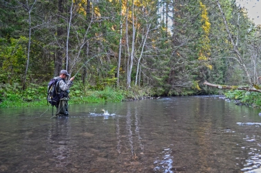 In the shadows In the shadows