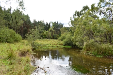 A hidden grayling paradise A hidden grayling paradise