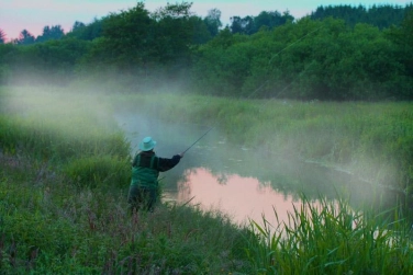 Streamside at dusk Streamside at dusk