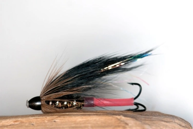 Red Taggish Red Taggish