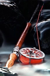 Rod, long exposure Rod, long exposure