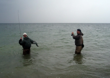 Photographer nearby Photographer nearby