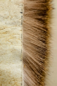 Regular patch Regular patch