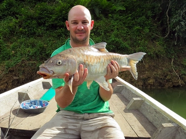A jungle carp A jungle carp