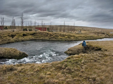 Typical for Iceland Typical for Iceland