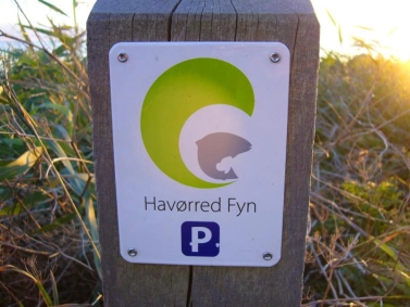 Seatrout on Fyn Seatrout on Fyn